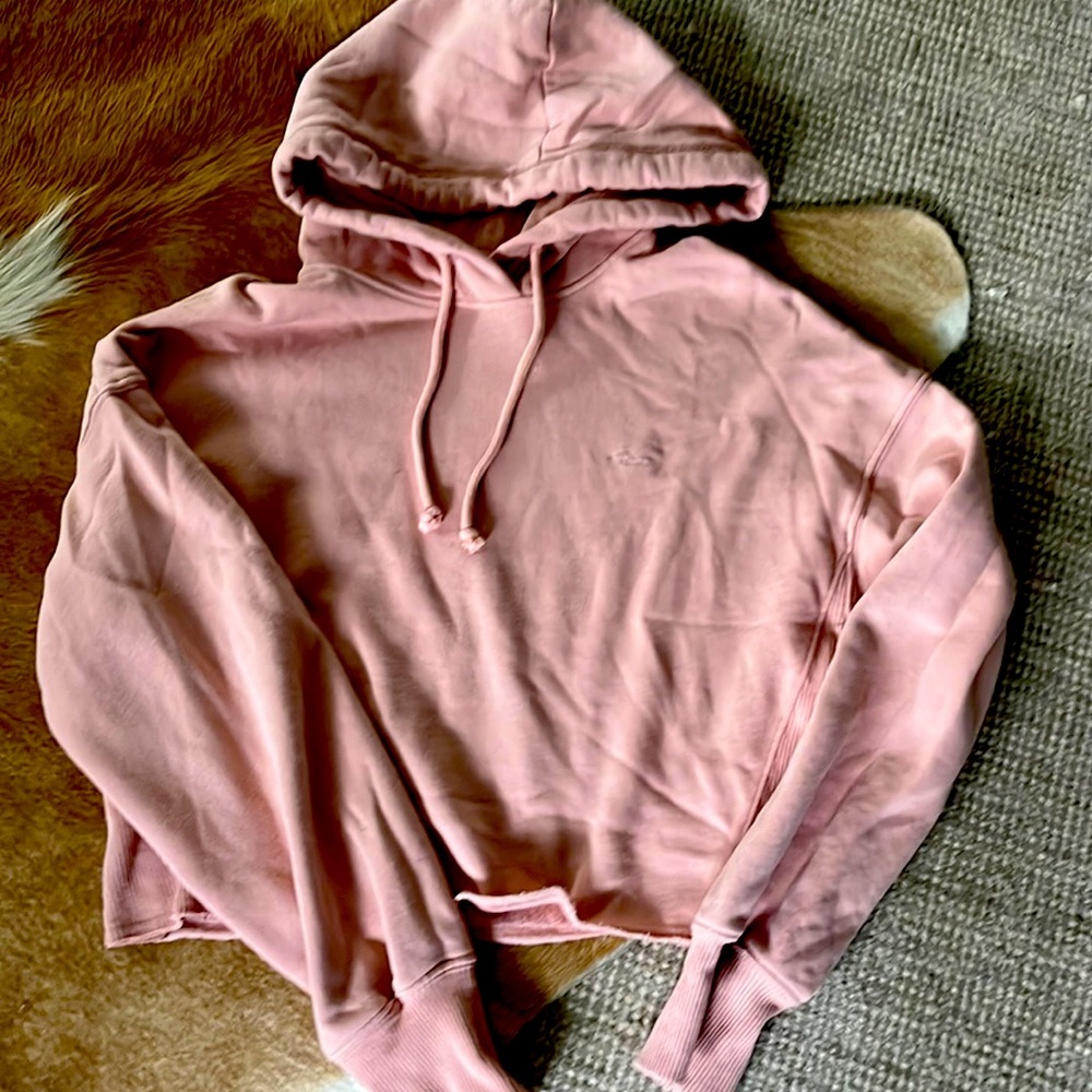 Hollister hooded crop sweatshirt. Like new